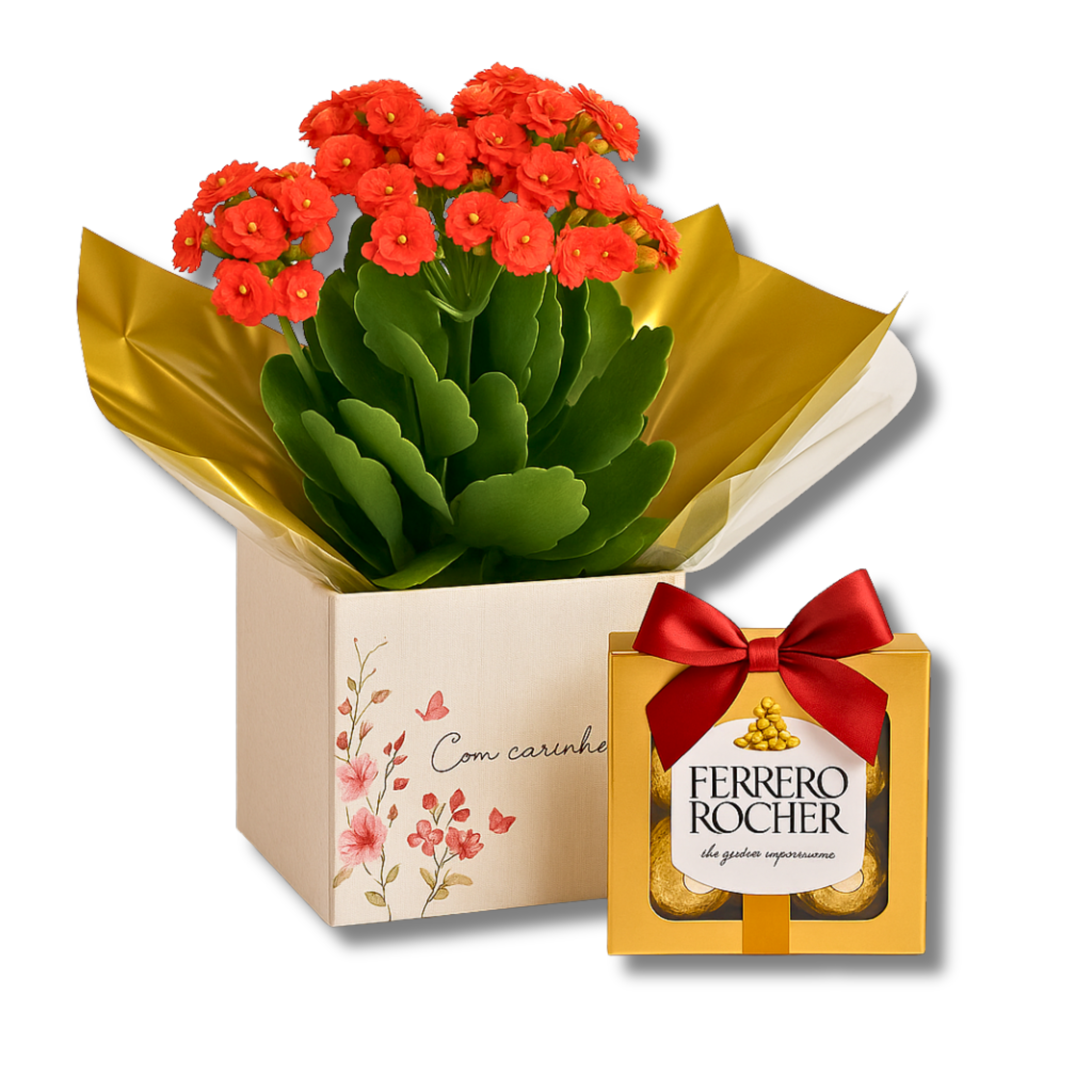 Flor da Fortuna e Ferrero Rocher