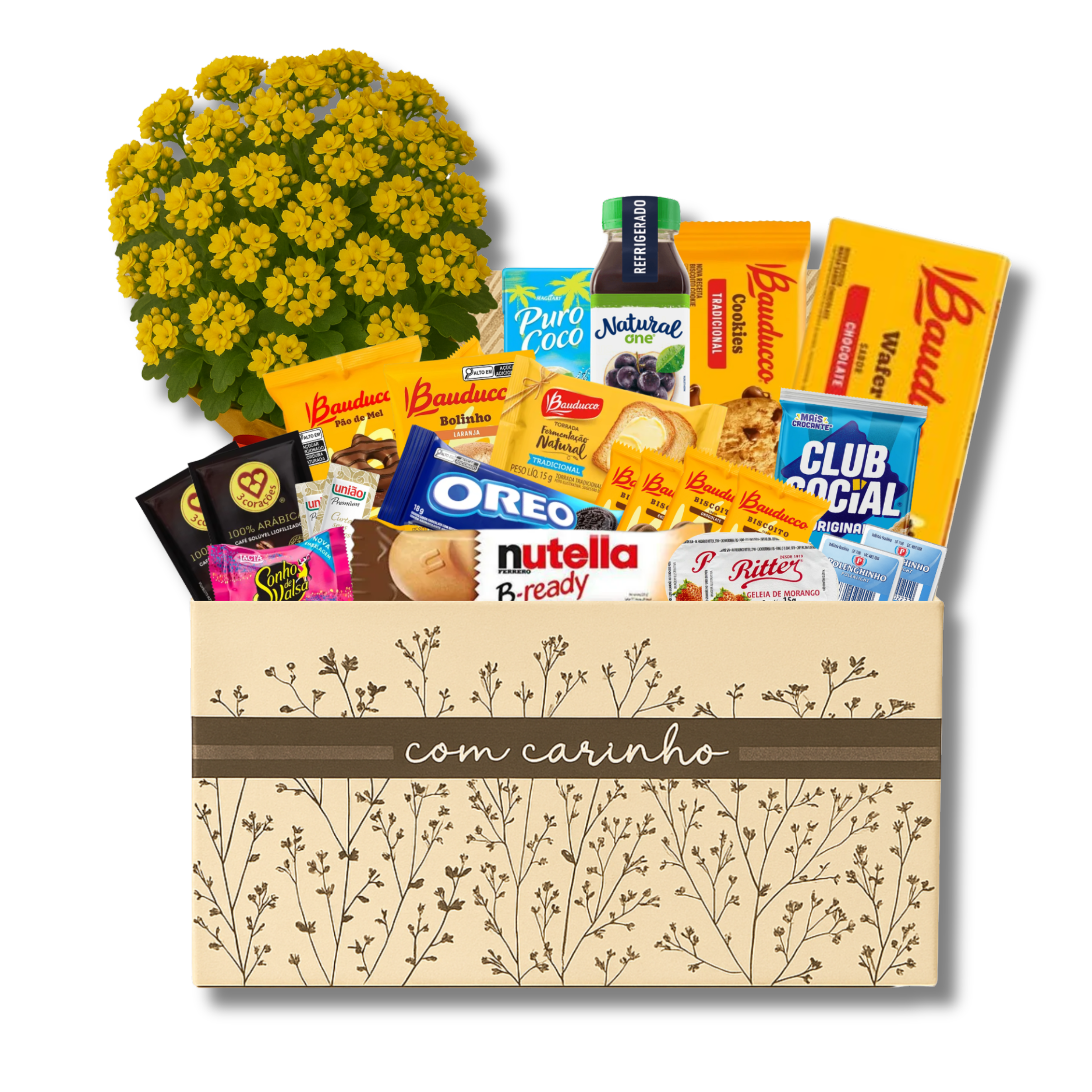 Deluxe Caf e Flores Uma Manh Encantada